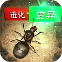 海豹之恋