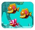 FB体育app安卓版二维码